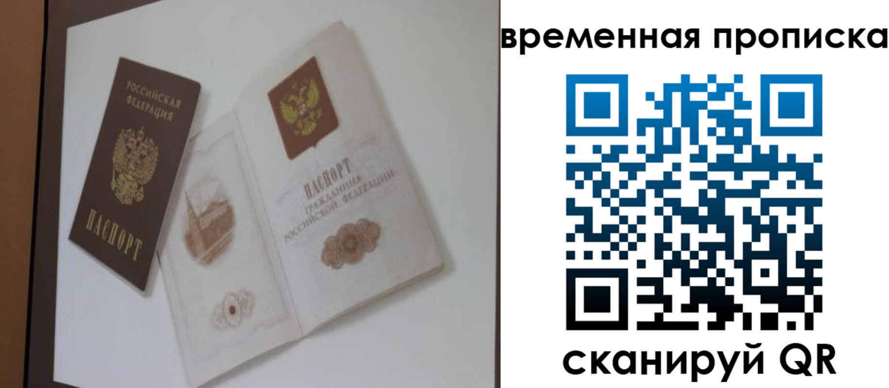 прописка 2025 в Североморске