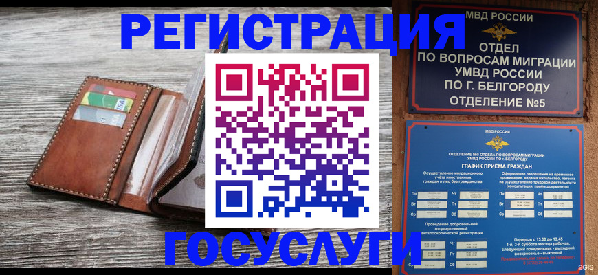 прописка 2025 в Североморске